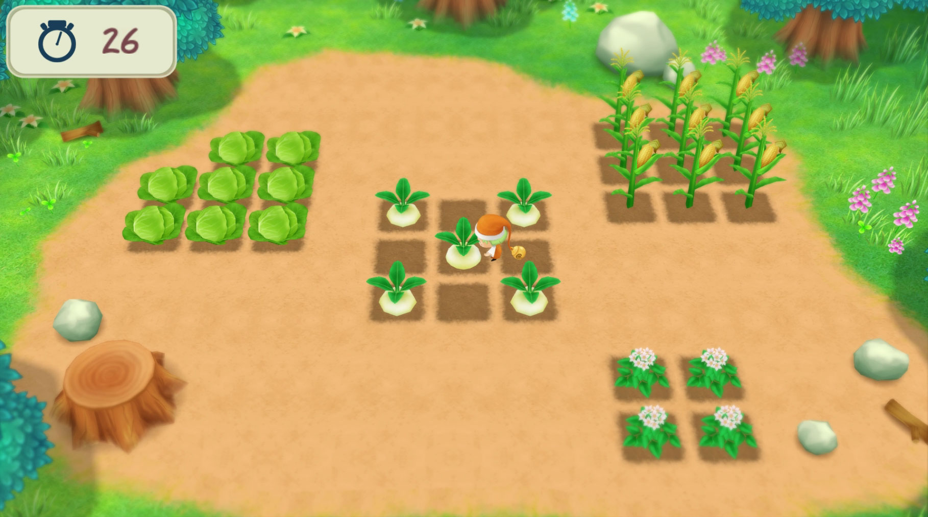 Story of Seasons: Friends of Mineral Town